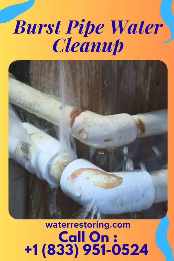 Burst Pipe Water Cleanup in Stoy, IL