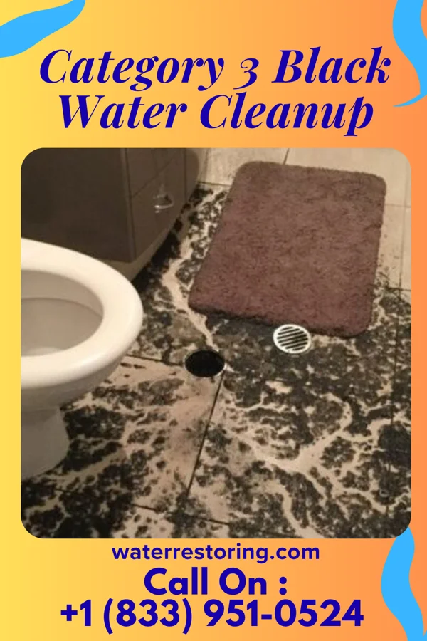 Category 3 Black Water Cleanup in Stoy, IL