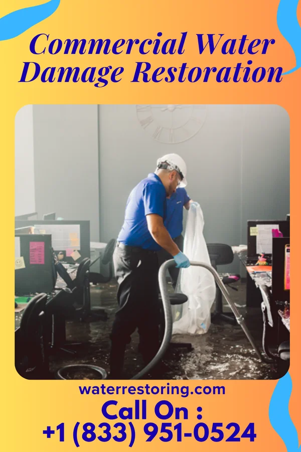 Commercial Water Damage Restoration in Stoy, IL